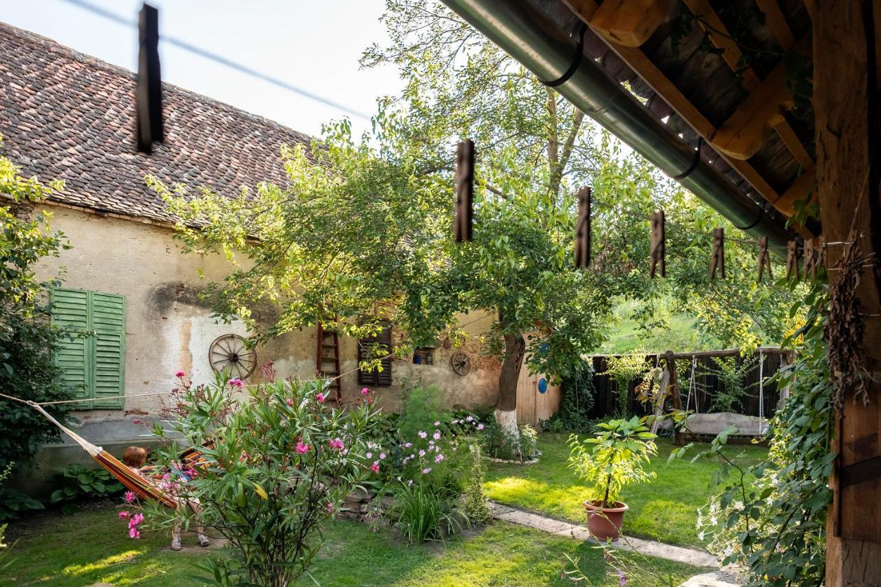 Villa Rihuini Eco Wine House Transylvania Richisu Экстерьер фото