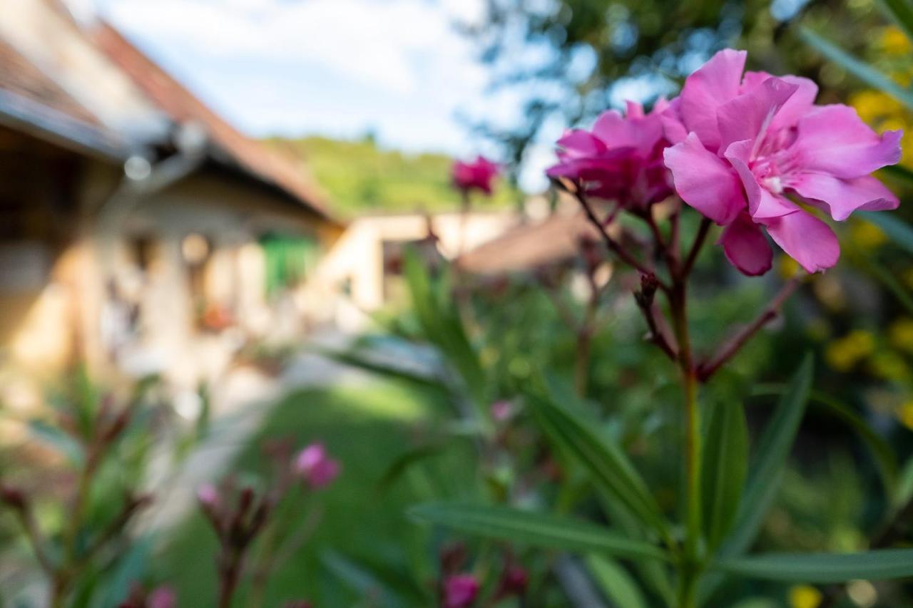 Villa Rihuini Eco Wine House Transylvania Richisu Экстерьер фото