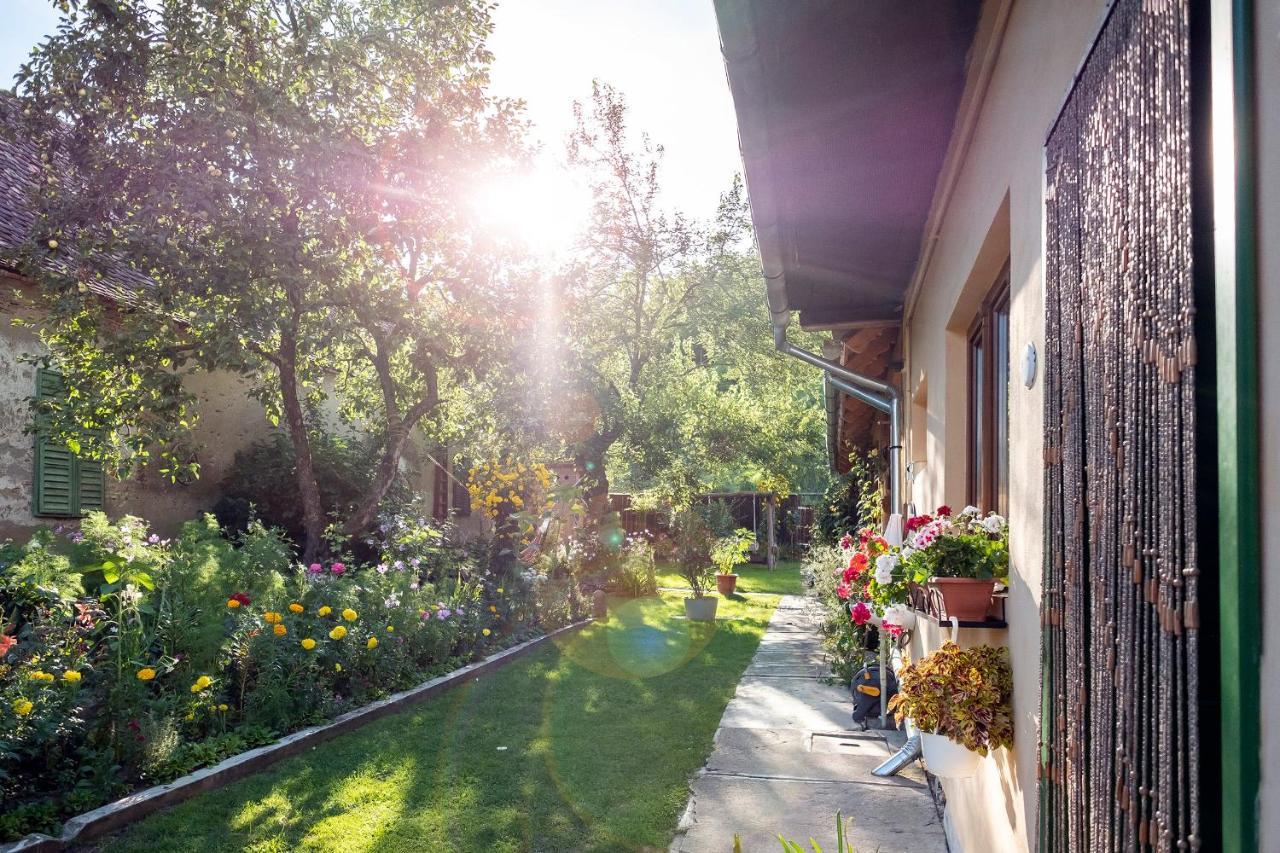 Villa Rihuini Eco Wine House Transylvania Richisu Экстерьер фото