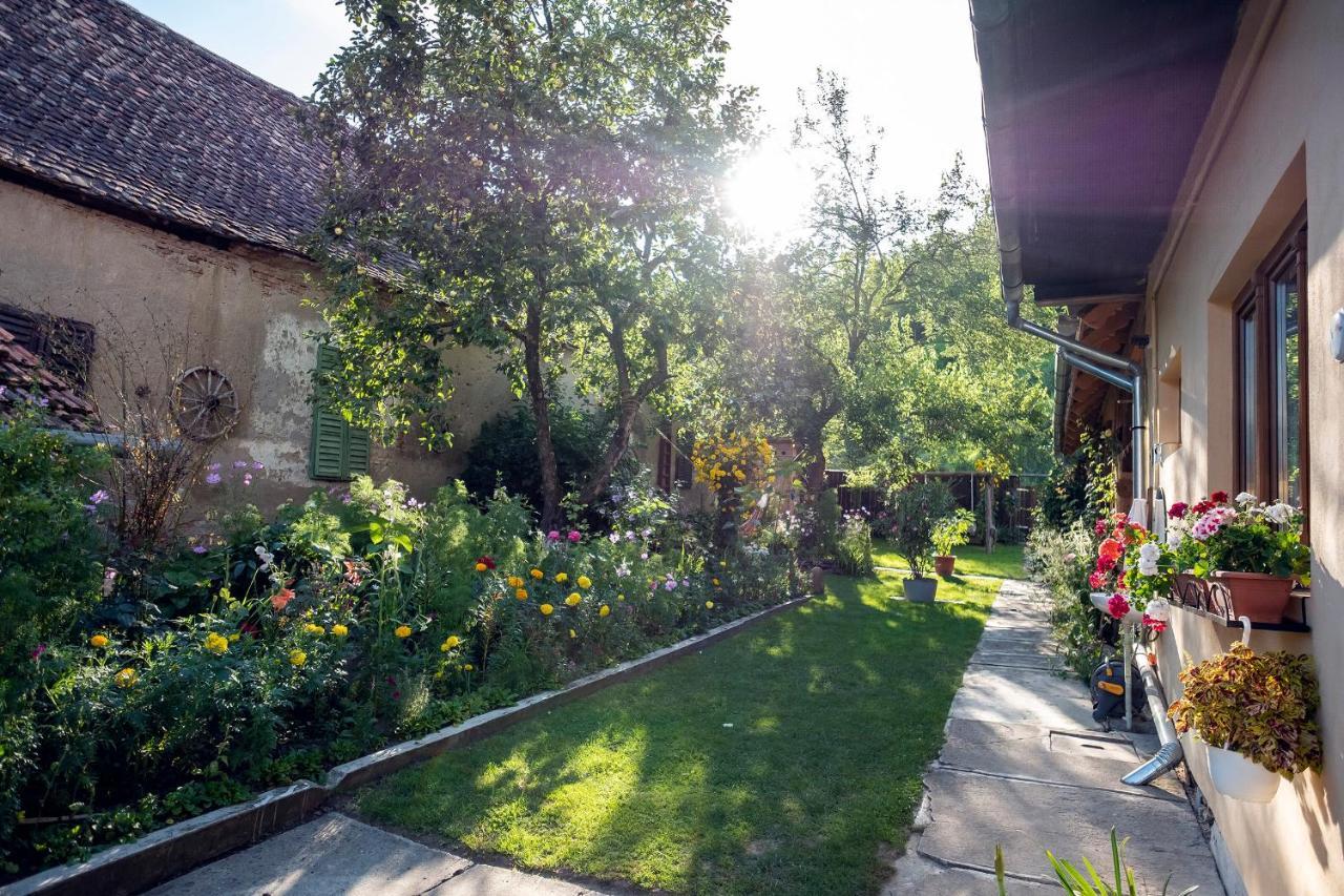 Villa Rihuini Eco Wine House Transylvania Richisu Экстерьер фото