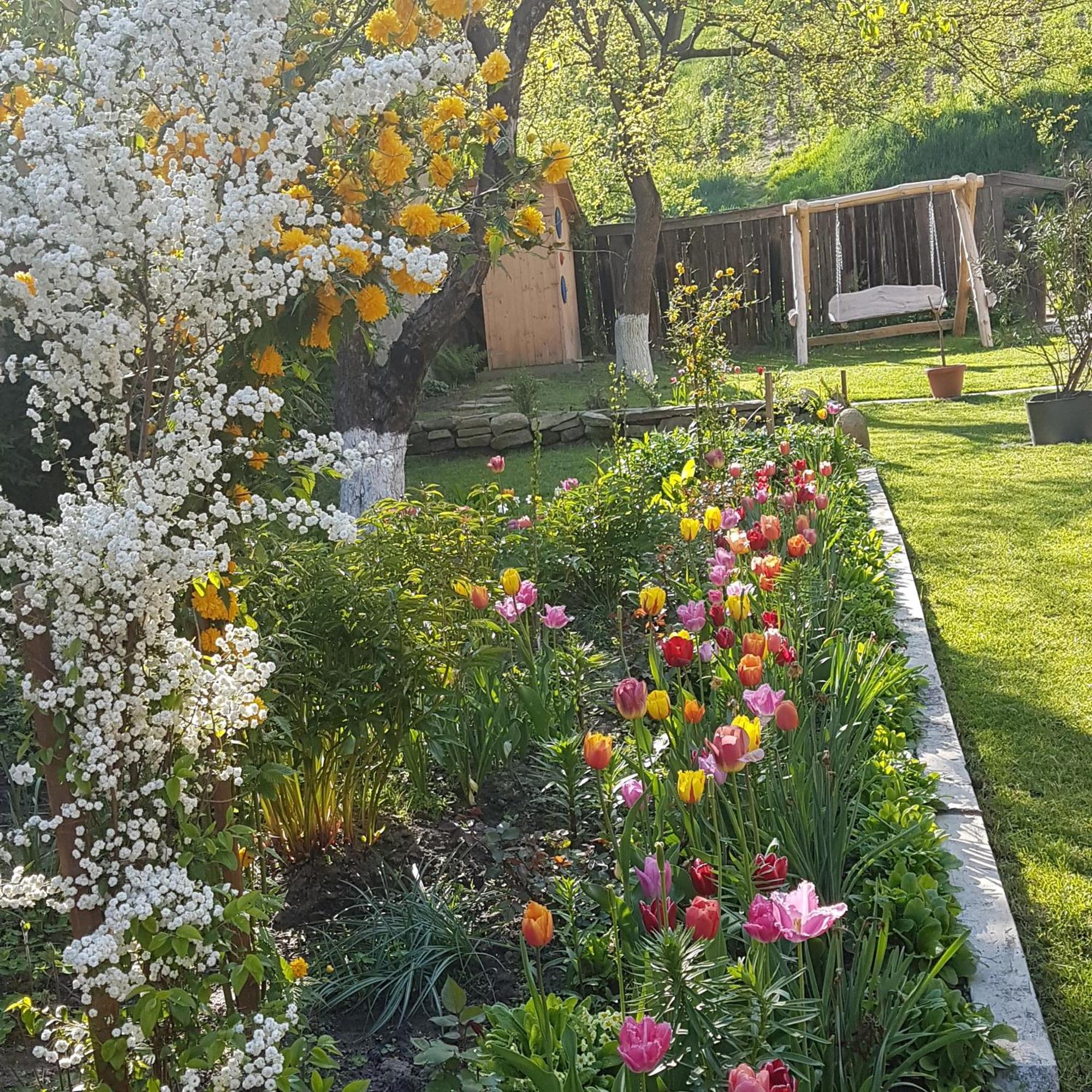 Villa Rihuini Eco Wine House Transylvania Richisu Экстерьер фото
